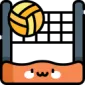 Play more games of Volleyball
