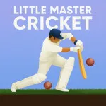 Little Master Cricket