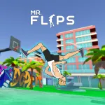 Play Mr Flip