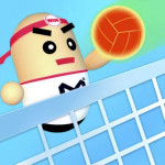 Play Volleyball 3D now!
